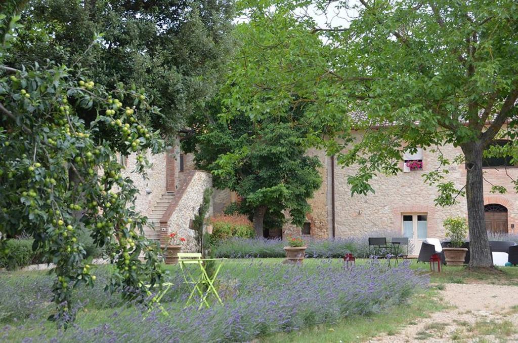 Agriturismo La Segolina กอลเลวัลเดลซา ภายนอก รูปภาพ