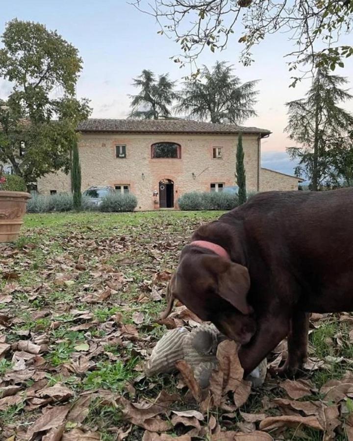 Agriturismo La Segolina กอลเลวัลเดลซา ภายนอก รูปภาพ