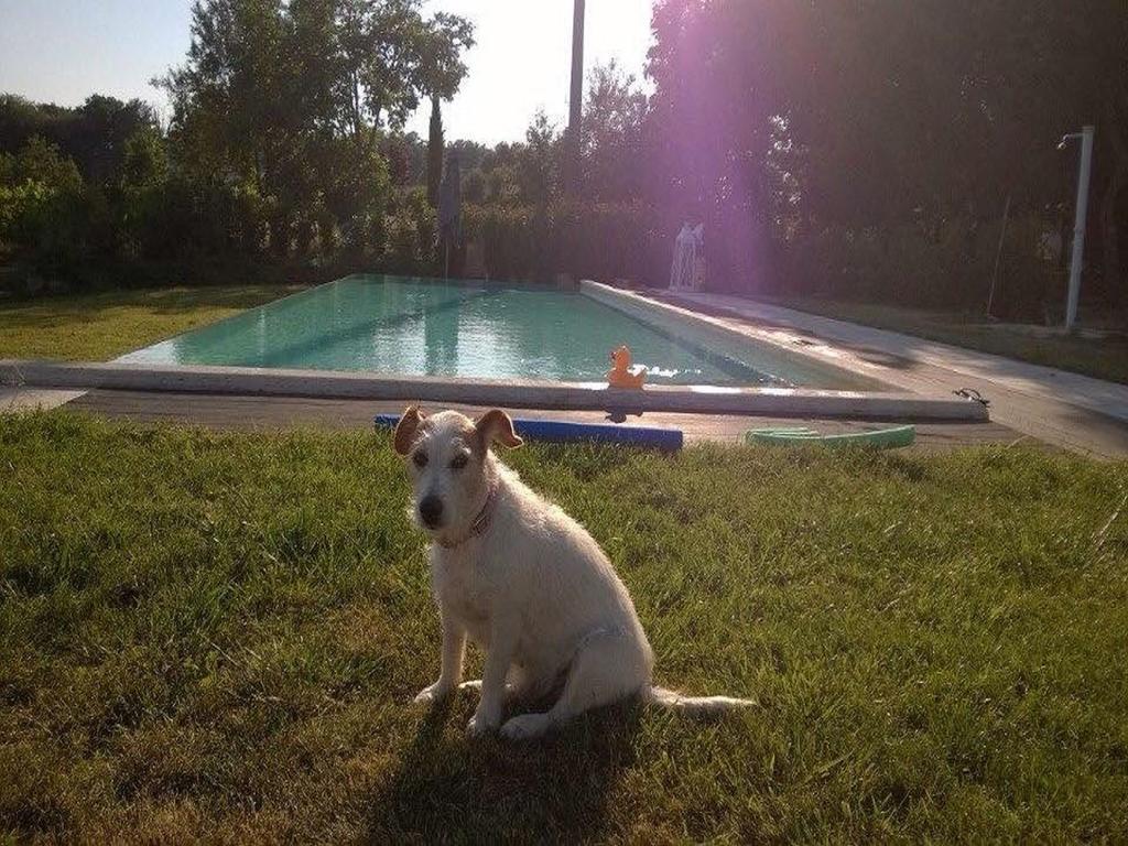 Agriturismo La Segolina กอลเลวัลเดลซา ภายนอก รูปภาพ