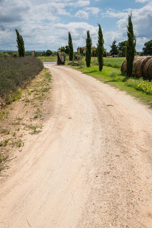 Agriturismo La Segolina กอลเลวัลเดลซา ภายนอก รูปภาพ