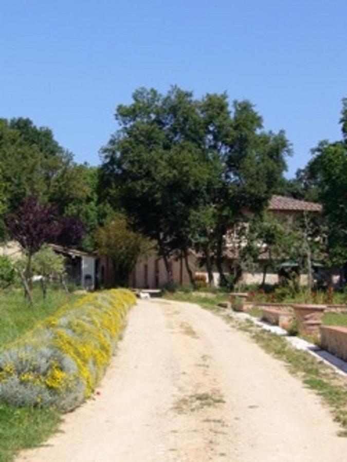 Agriturismo La Segolina กอลเลวัลเดลซา ภายนอก รูปภาพ